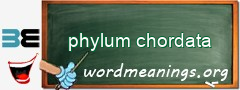 WordMeaning blackboard for phylum chordata